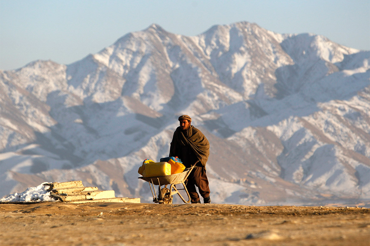 afghan wheelbarrow