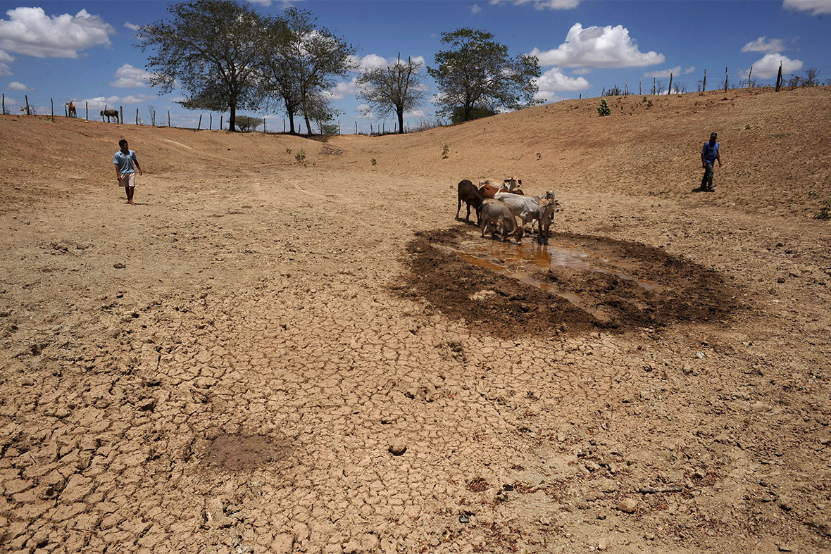brazil drought