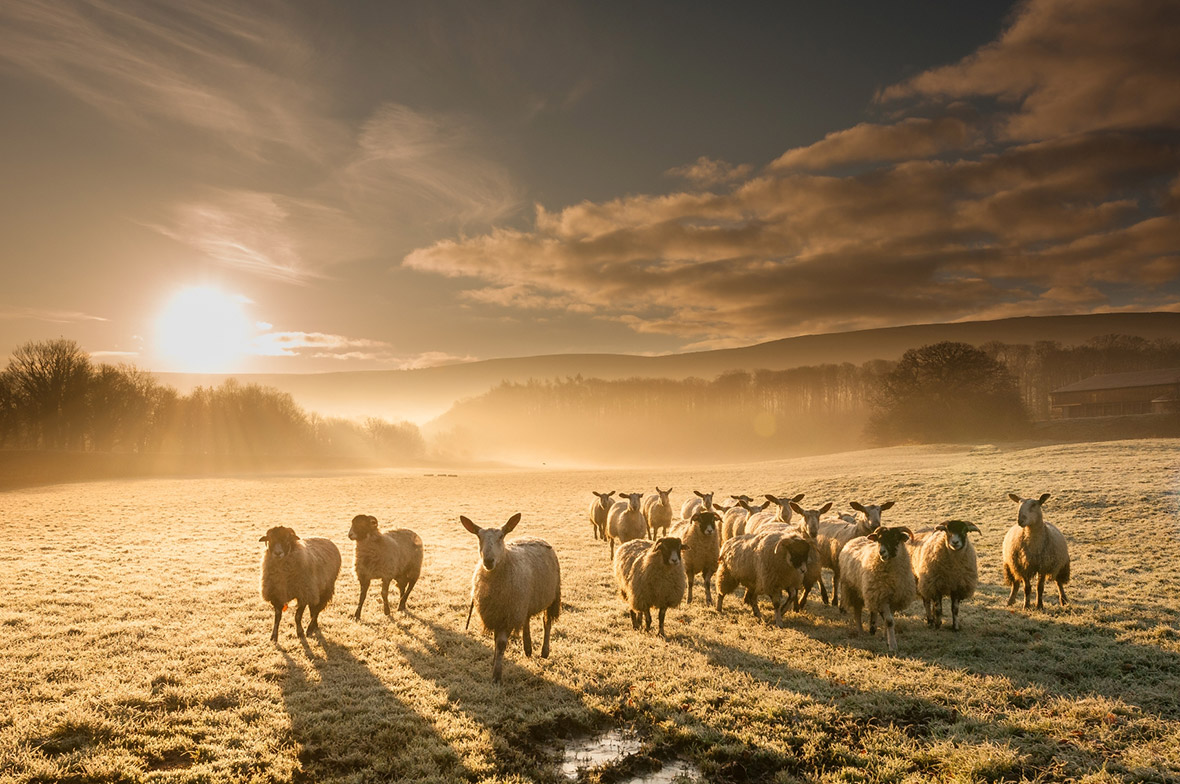 Luke Oyston, Unexpected sun, UK