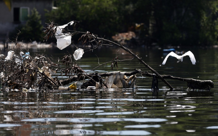 Pollution in Fundao beach in the Guanabara Bay in Rio de Janeiro