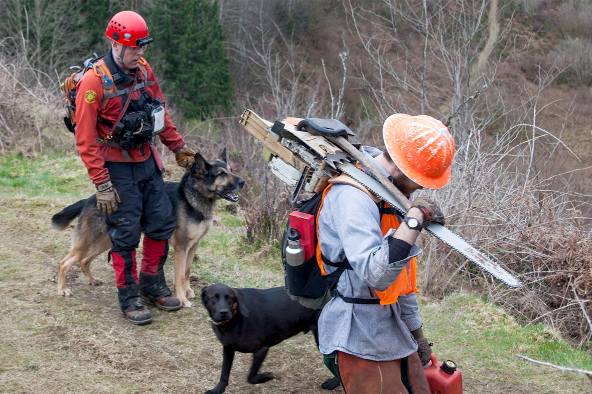 search dogs
