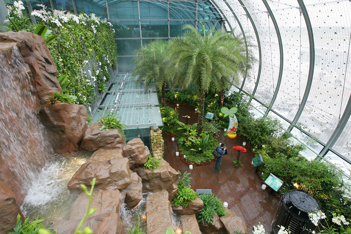 Changi butterfly garden
