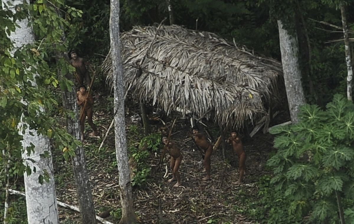 Uncontacted Amazon Tribes Shake Spears at Photo Plane Overhead