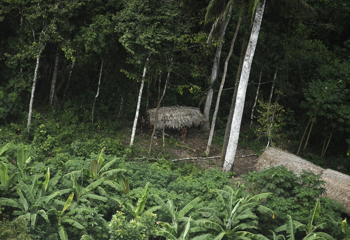 Amazons Uncontacted Tribe