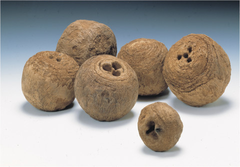 Tudor bowling balls were found at the remains of a medieval manor house in Stepney Green