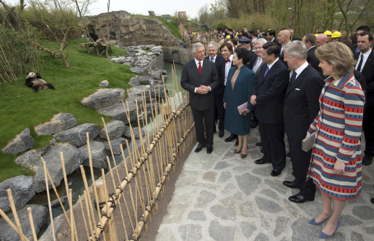 Eric Domb (L), CEO of Pairi Daiza Zoo, Belgium's King Philippe (2nd R), Queen Mathilde (R), China's President Xi Jinping (C) and his wife Peng Liyuan look at panda Hao Hao during an official ceremony in Brugelette March 30, 2014.