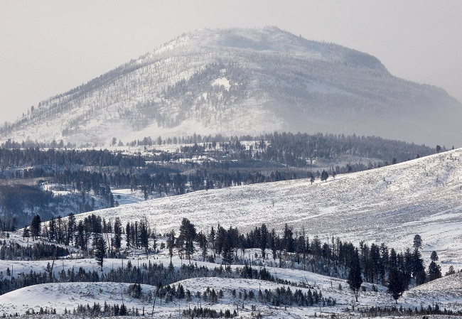 Yellowstone National Park