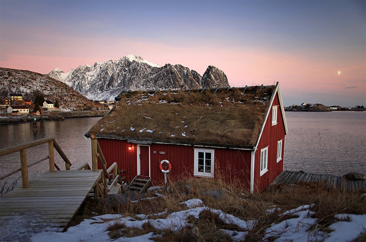 Typical red rorbu huts with sod roof in town of Reine on Lofoten