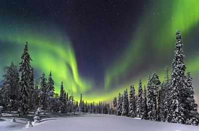 Aurora Borealis over a forest in the Pyhae Luosto National Park, Finland