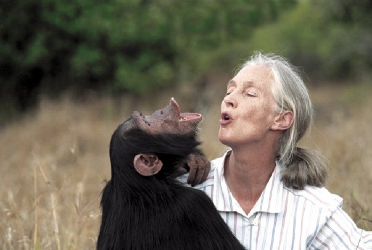 Happy 80th Birthday Jane Goodall Inspirational Quotes 