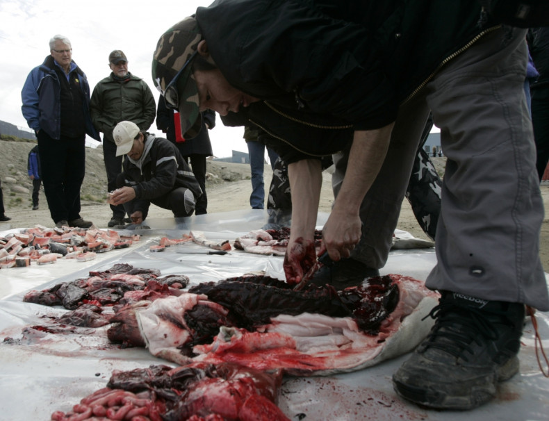 Canada Whale Meat Inuit