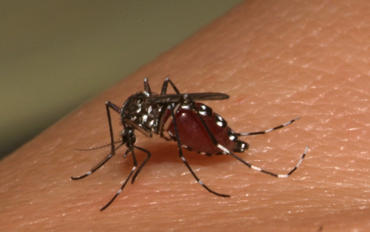 Chikungunya