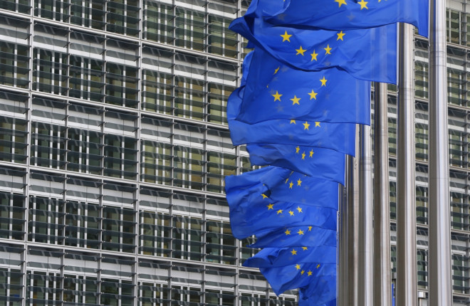European Union Flags European Union Flags