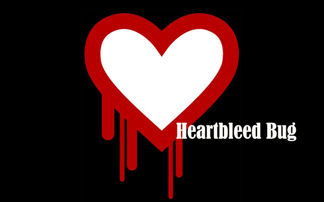 Heartbleed Bug: How To Protect Android Devices | IBTimes UK