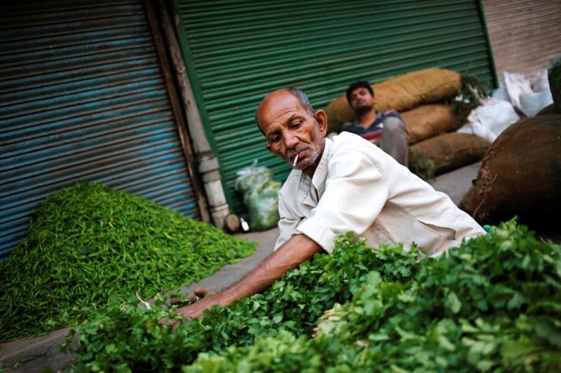 Vegetable Vendor Delhi India