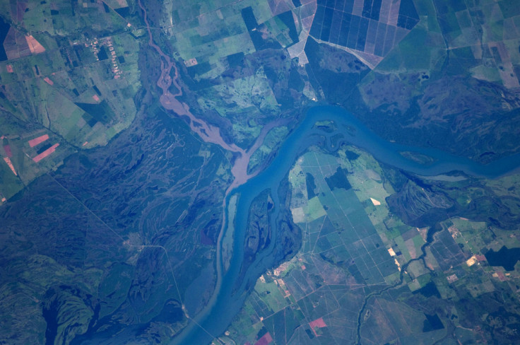 Paraná River Floodplain, Brazil