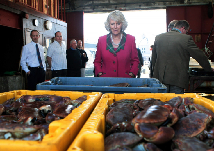 Britain's Duchess of Cornwall looking at some crabs in Orkney