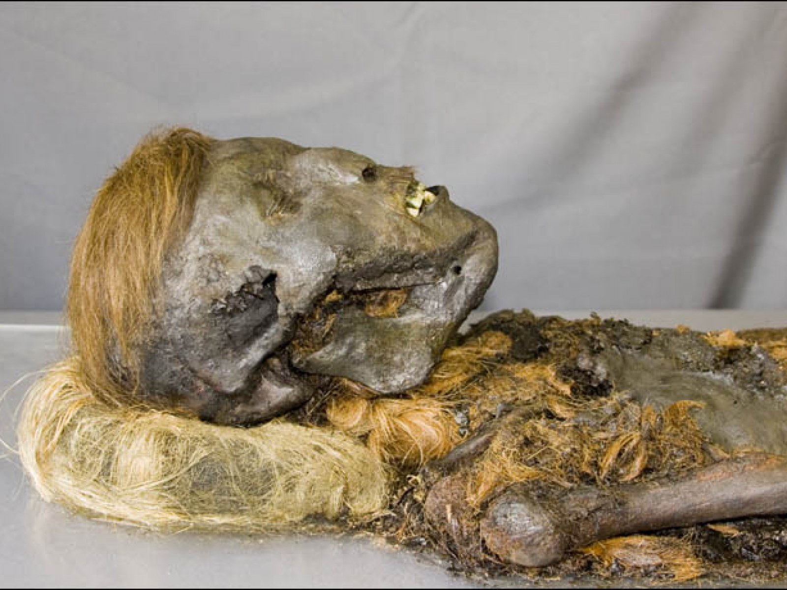 Kamensk-Uralskiyda spermani qayerda berishim mumkin? Kamensk-Uralskiyda spermani qayerda berishim mumkin?