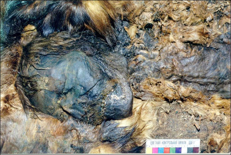 Siberian mummy - accidentally mummified by copper plates