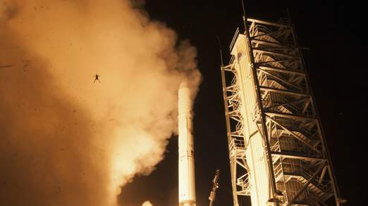 Ladee frog