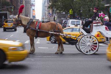 New York horse-drawn carriages