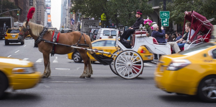 New York horse-drawn carriages