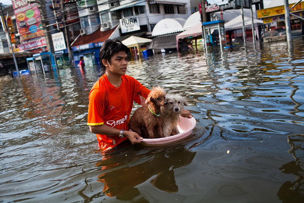 thai floods