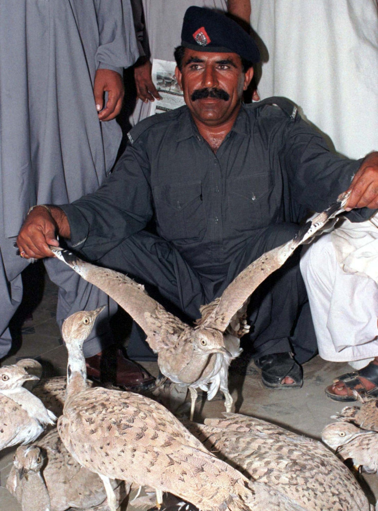 Saudi Prince Accused of Hunting 2,100 Endangered Houbara Bustards in Pakistan Safari