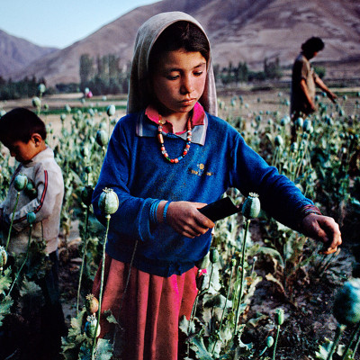 Children work in opium field in Badakhshan, 1992