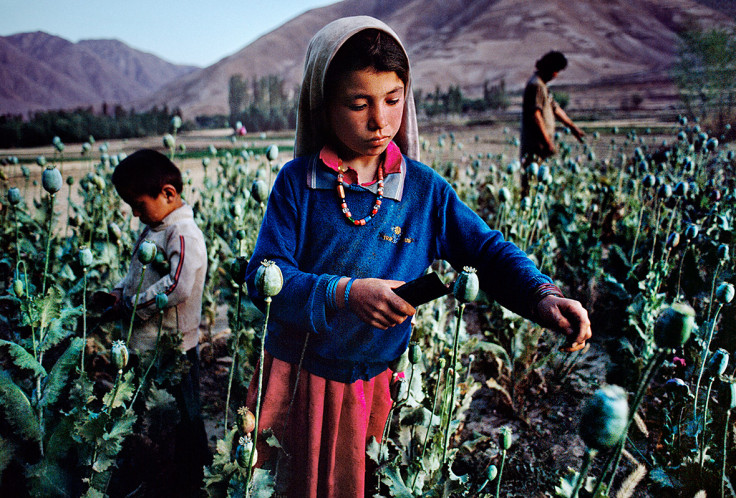 Children work in opium field in Badakhshan, 1992