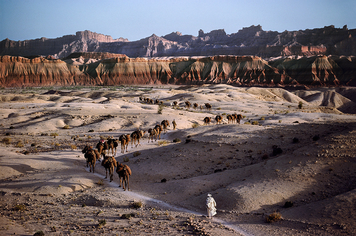 Camel caravan, 1980