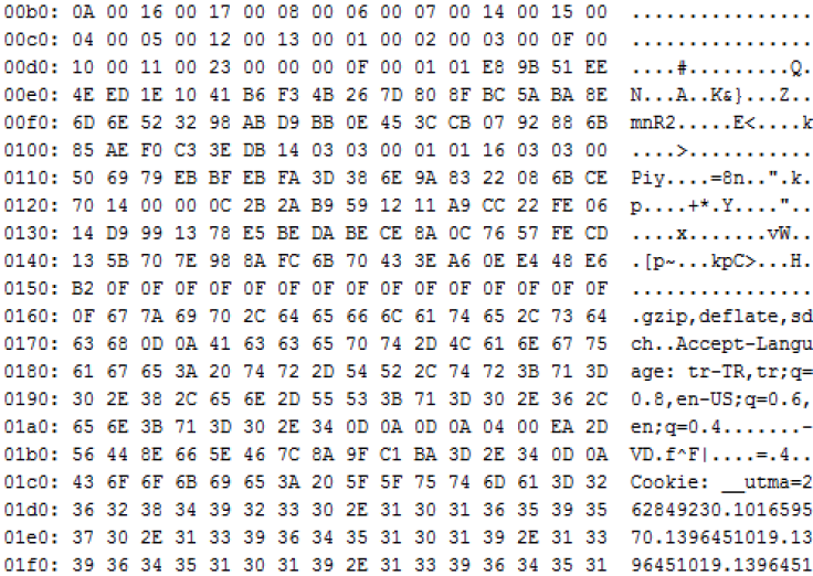 Heartbleed 2.0