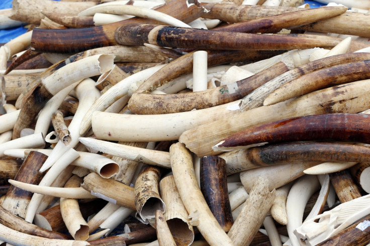 Ivory trade