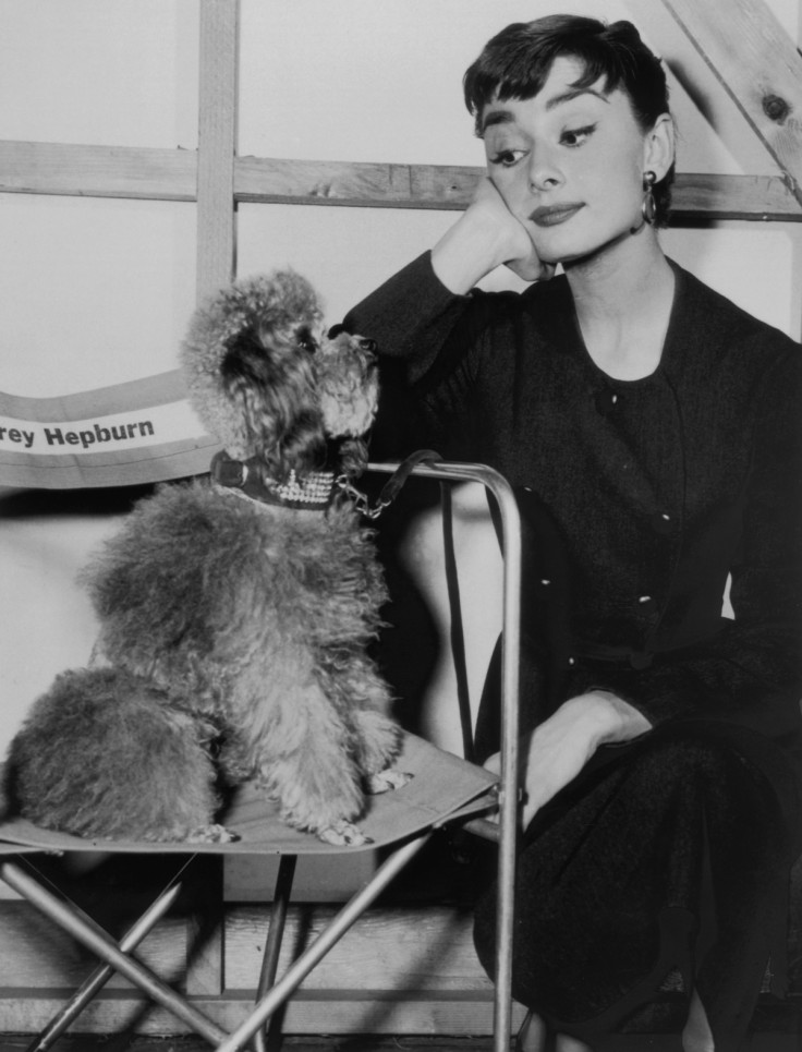 Audrey Hepburn on a film set with her pet poodle, circa 1960