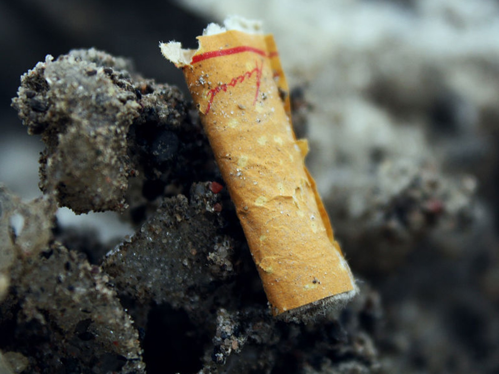 classic ice burst cigarette price CBD Smokes | Organic Hemp Cigarettes classic ice burst cigarette price CBD Smokes | Organic Hemp Cigarettes