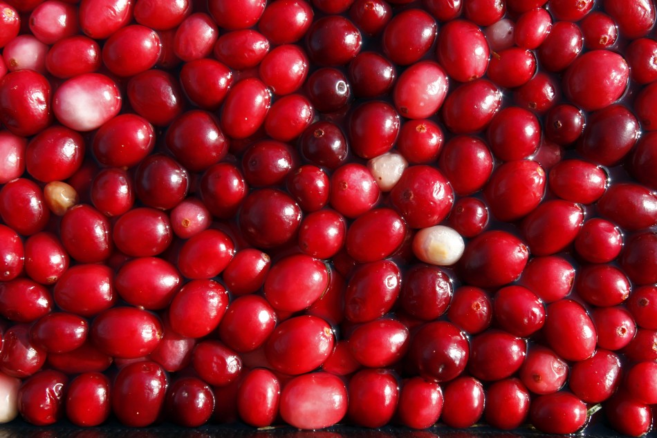 Forget cranberries - copper could help treat painful cystitis after sex ...