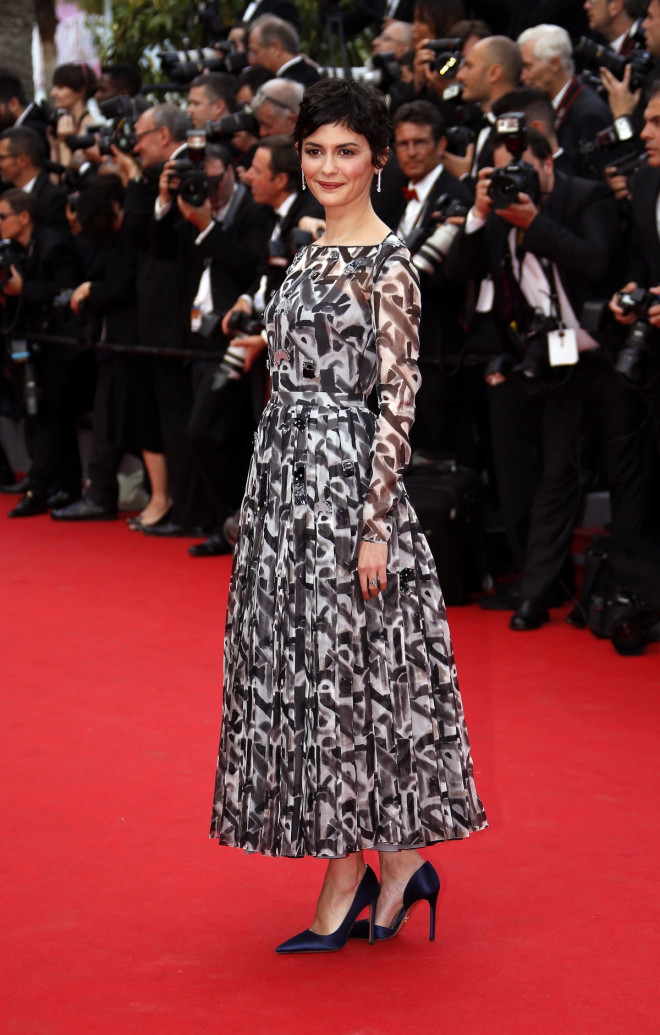 The Cannes Film Festival The Cannes Film Festival