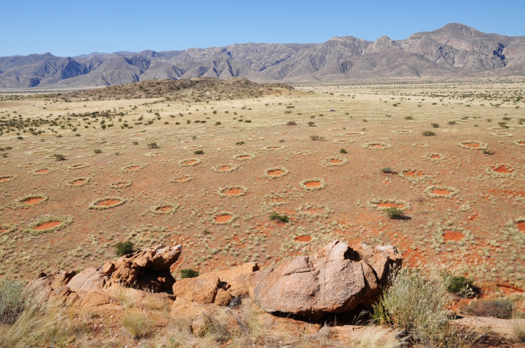 fairy circles