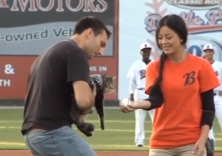 Tara the cat 'threw' the first ball to mark her saving Jeremy Triantafilo's son from a vicious dog