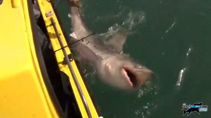 Angler Graeme Pullen caught the big shark off the north coast of Devon on May 20