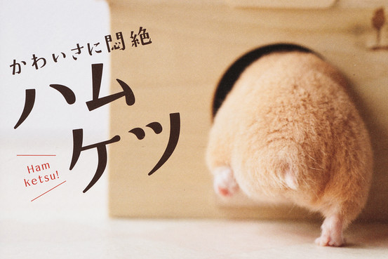 Hamuketsu