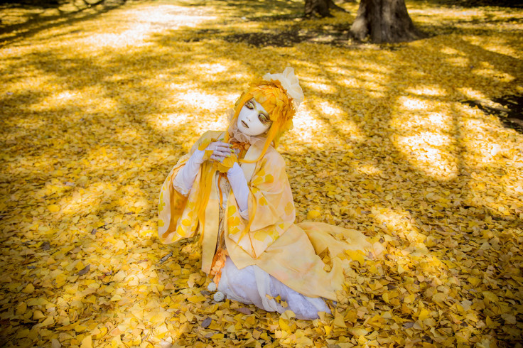 Shironuri - Ginkgo