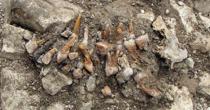 Western Europe's Earliest Dental Implant Found in France