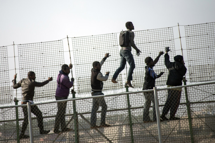 African migrants climb a border fence covered in razor wire during their latest attempt to cross into Spanish territory between Morocco and Spain's north African enclave of Melilla