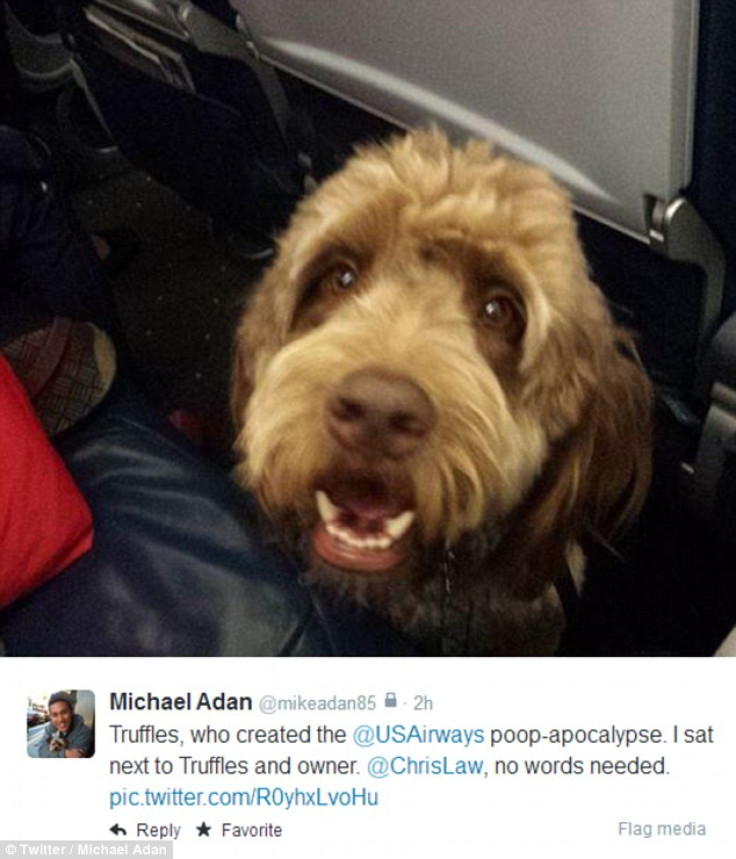 Truffles, who forced Wednesday's emergency landing.