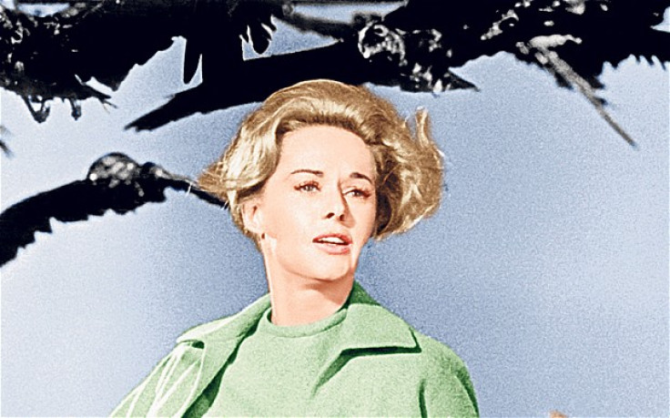 Eerie Portent? Crows swarm around Tippi Hedren in scene from The Birds, by Alfred Hitchcock