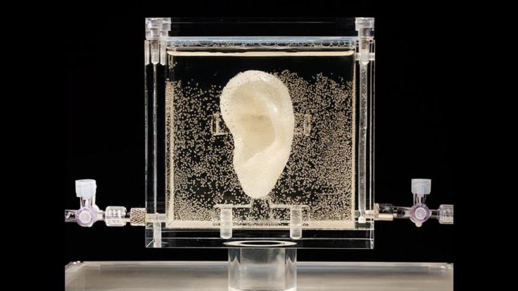 A bioprinted living replica of Vincent van Gogh's severed ear