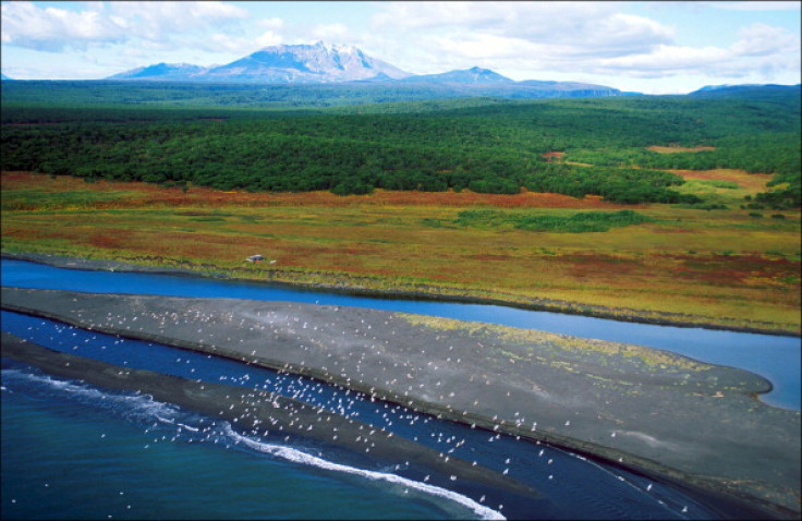 The Siberian tundra where Alexei Gorulenko ate his childhood friend Andrei Koruchkin