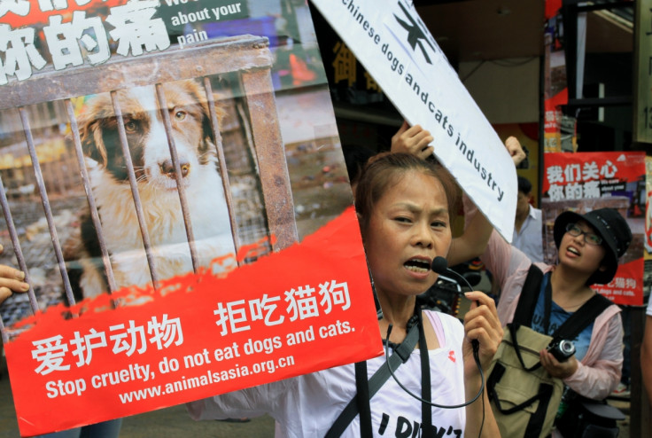 yulin dog meat festival