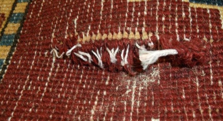 Heroin stitched into carpet
